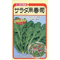 Amazon | 株式会社トーホク 春まきサラダほうれん草 ボーノ 06272 | 野菜